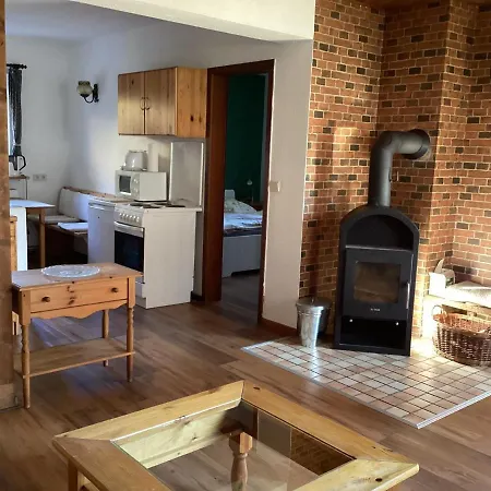 In Beautiful Harz Region With Terrace Apartment *