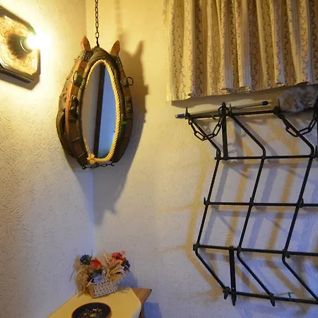 Apartment In Beautiful Harz Region With Terrace